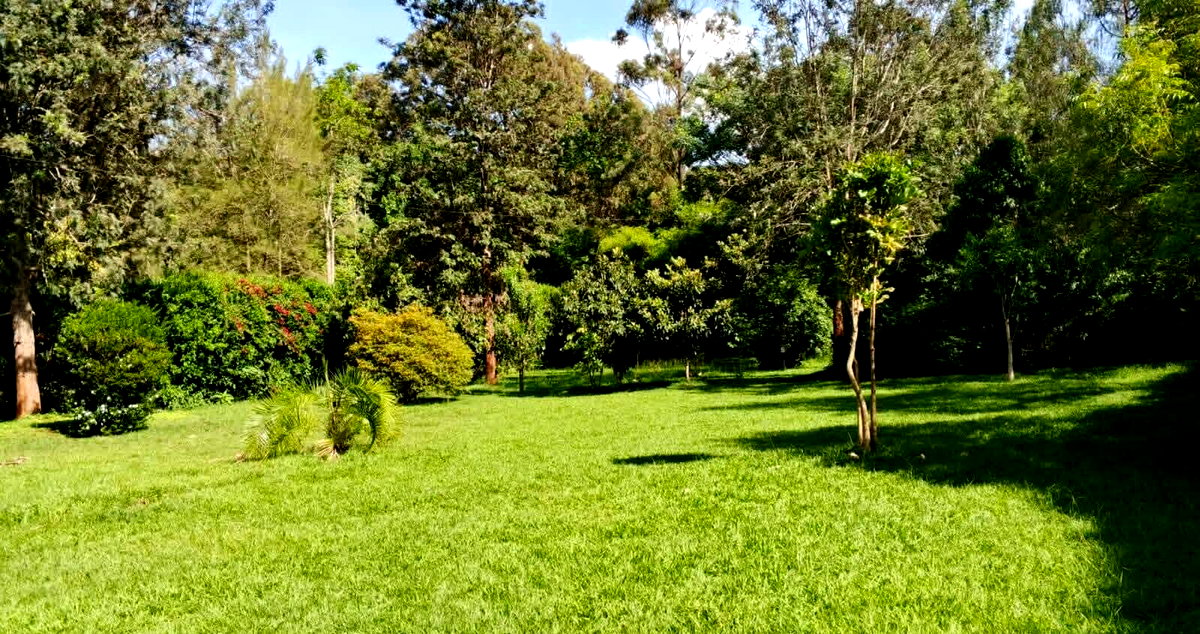 5-Ensuite Townhouse on 1 Acre with Mature Trees – Karen
