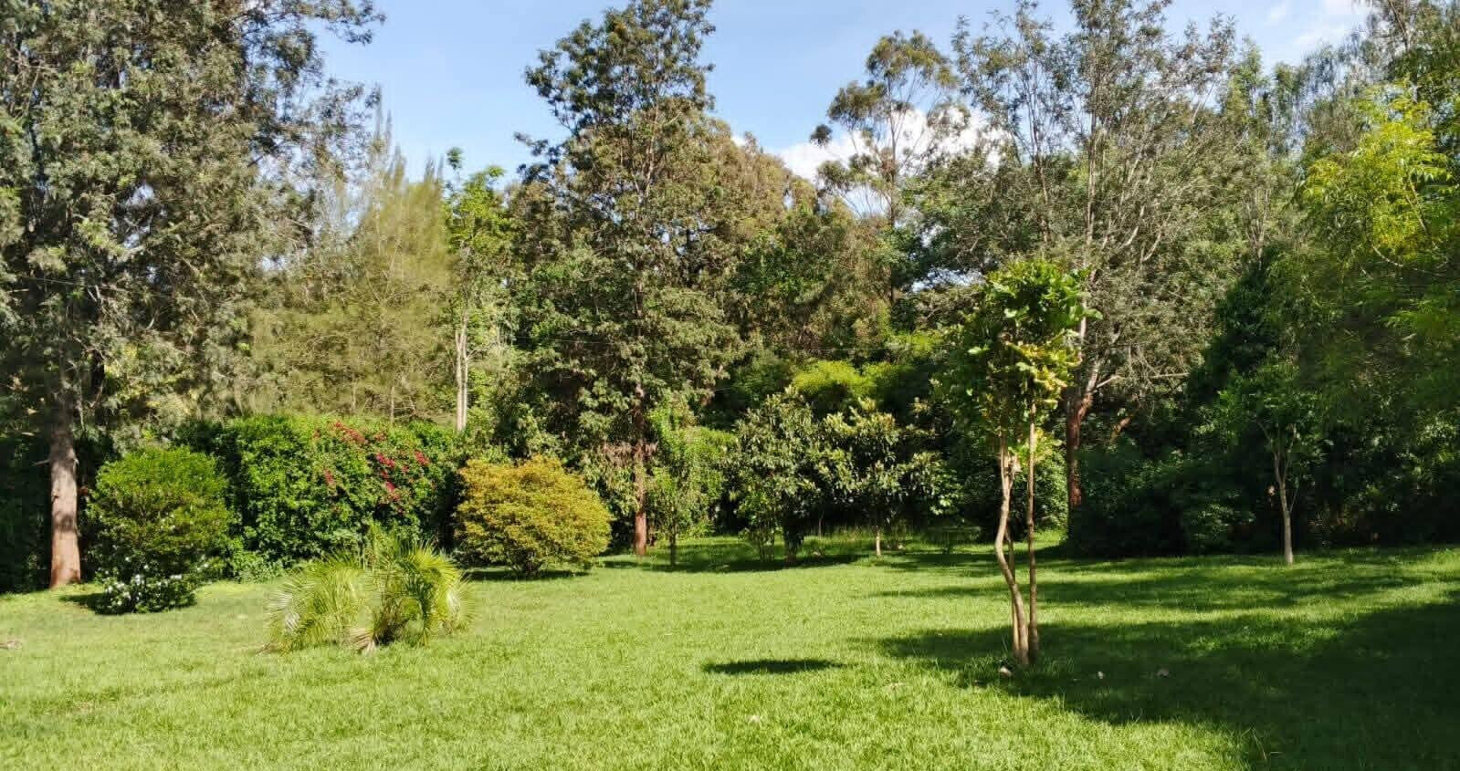 5-Ensuite Townhouse on 1 Acre with Mature Trees – Karen