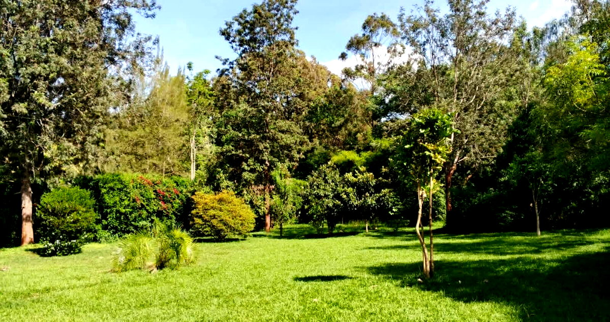 5-Ensuite Townhouse on 1 Acre with Mature Trees – Karen