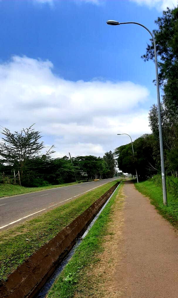 Garden Plot with Parking at KSh 35M