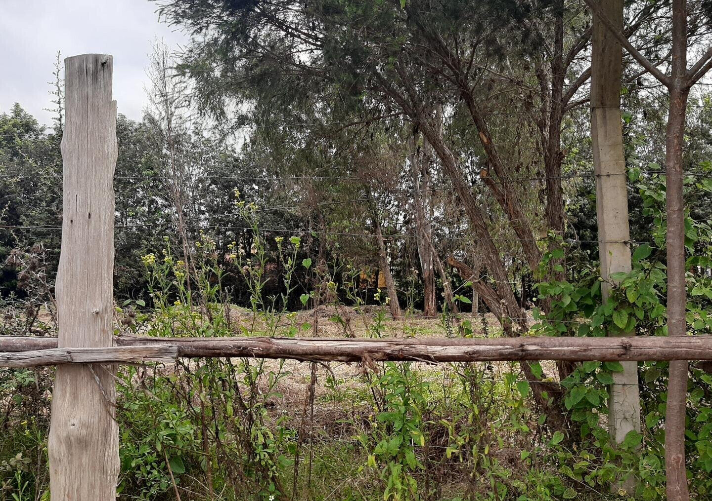 Garden Plot with Parking at KSh 35M