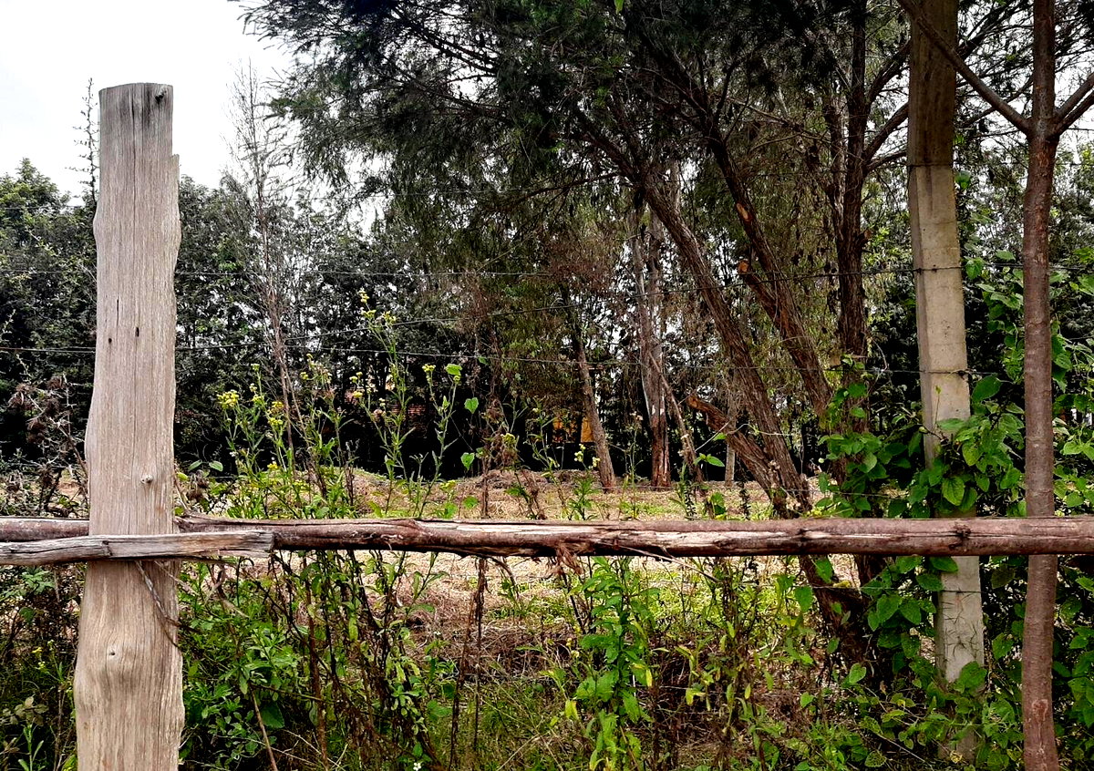 Garden Plot with Parking at KSh 35M