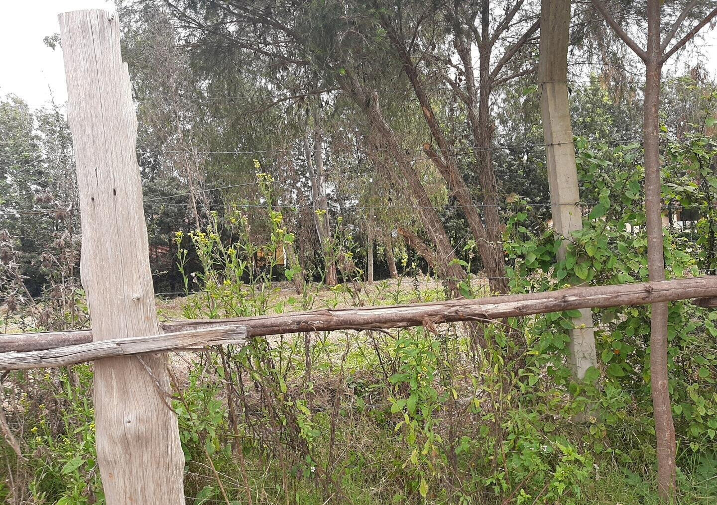 Garden Plot with Parking at KSh 35M