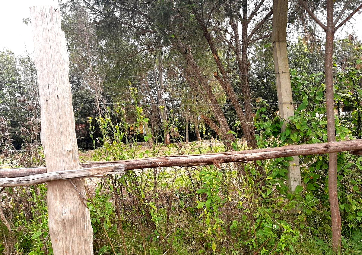 Garden Plot with Parking at KSh 35M