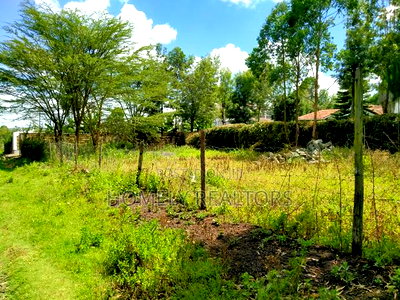 Quarter Acre Plot in Ngong, Merisho. 2nd Row From Tarmac - Image 3