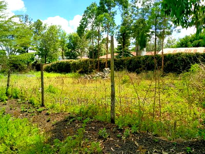 Quarter Acre Plot in Ngong, Merisho. 2nd Row From Tarmac - Image 5