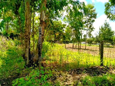 Quarter Acre Plot in Ngong, Merisho. 2nd Row From Tarmac - Image 2