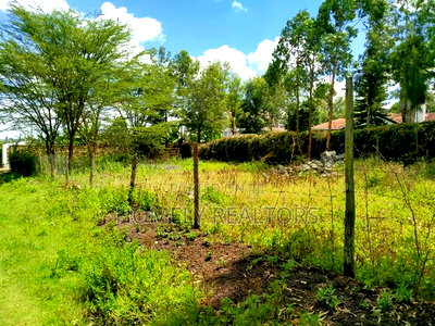 Quarter Acre Plot in Ngong, Merisho. 2nd Row From Tarmac - Image 4