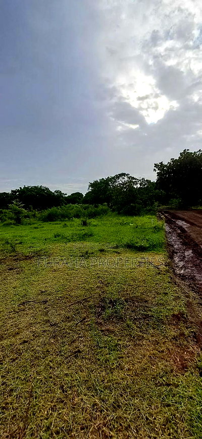 For Sele Quater/Half Acre Plots Vipingo - Image 7