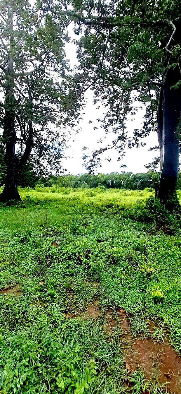 For Sele Quater/Half Acre Plots Vipingo