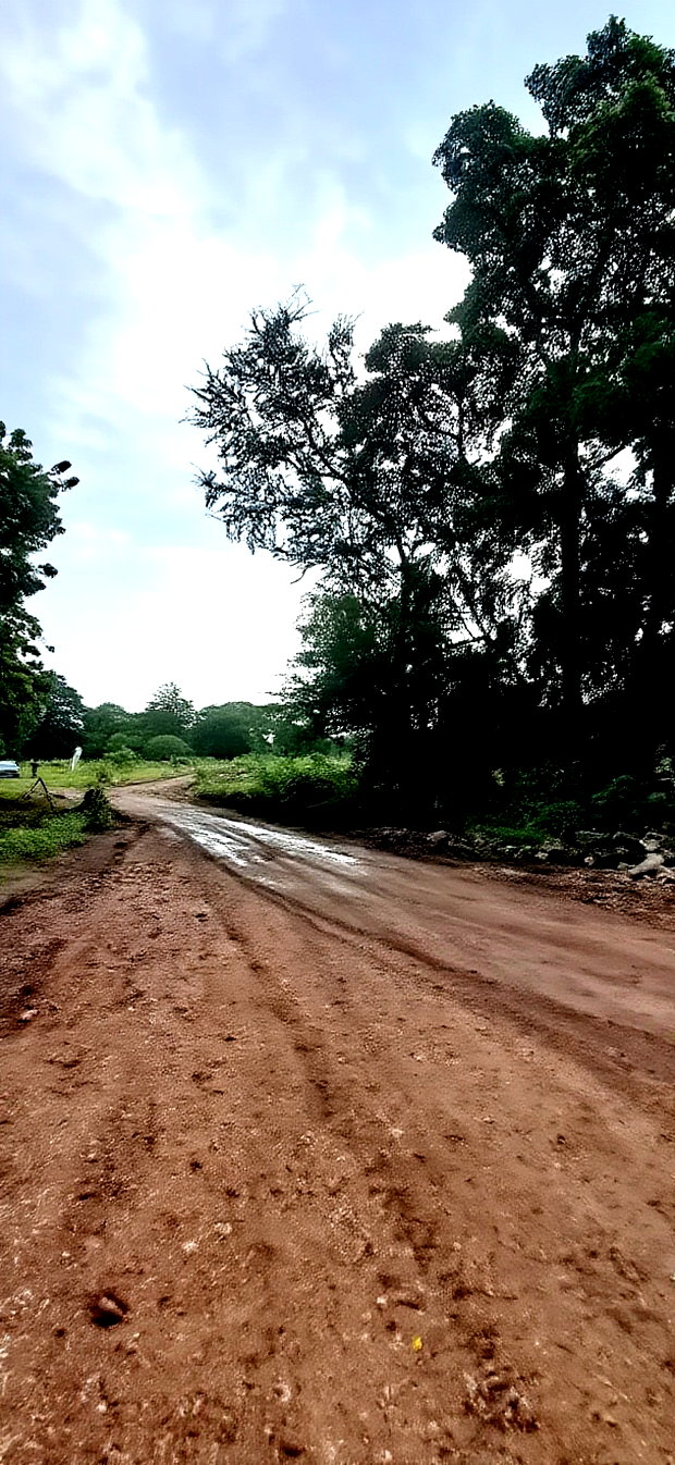 For Sele Quater/Half Acre Plots Vipingo