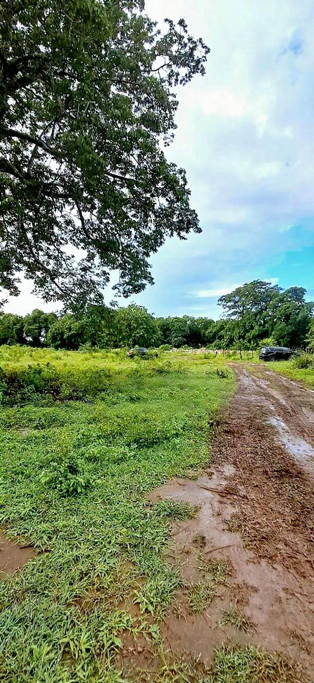 For Sele Quater/Half Acre Plots Vipingo