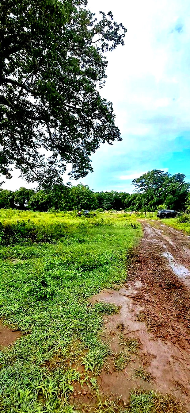 For Sele Quater/Half Acre Plots Vipingo