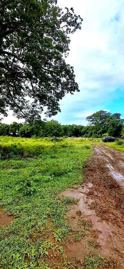 For Sele Quater/Half Acre Plots Vipingo - Image 5