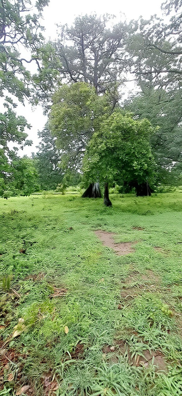 For Sele Quater/Half Acre Plots Vipingo