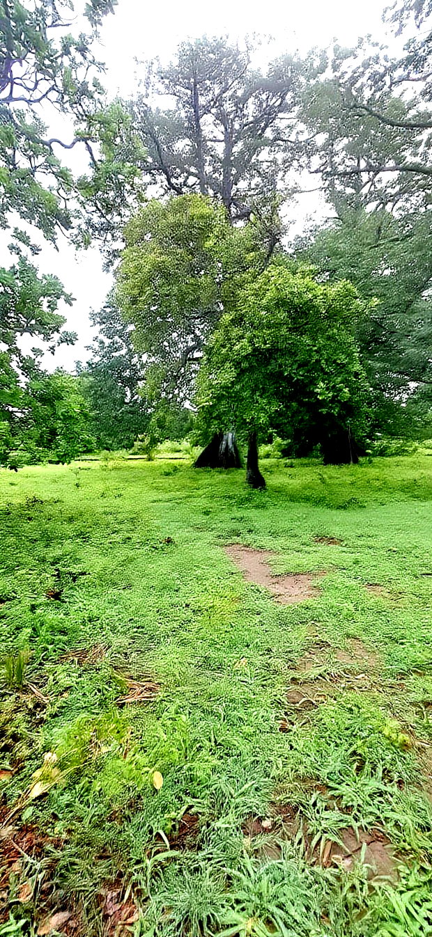 For Sele Quater/Half Acre Plots Vipingo