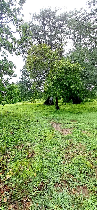 For Sele Quater/Half Acre Plots Vipingo - Image 1