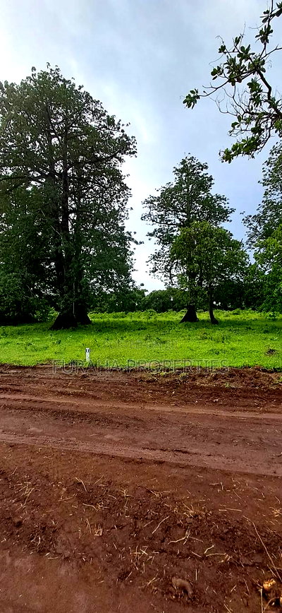 For Sele Quater/Half Acre Plots Vipingo - Image 6