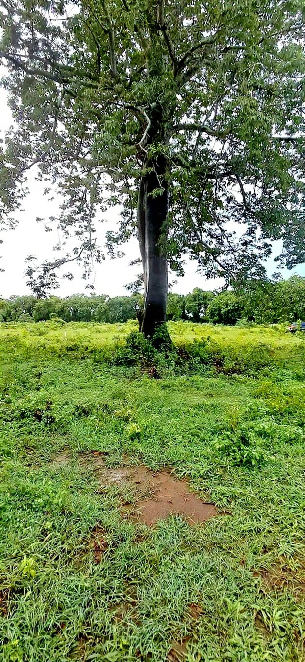 For Sele Quater/Half Acre Plots Vipingo