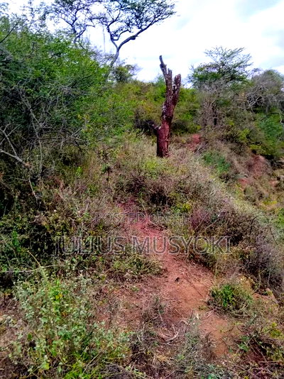 17 Acres Emali Makueni - Image 4