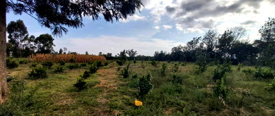 4-Acre Land in Lower Burguret, Nanyuki