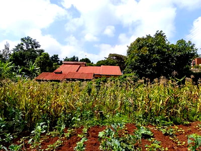 Prime Commercial Plot for Sale in Thogoto, Kikuyu - Image 10