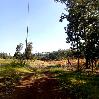 Kenol 11/4 Land for Sale - Image 2