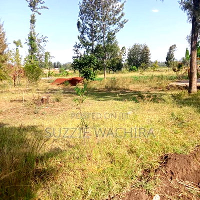 Kenol 11/4 Land for Sale - Image 4