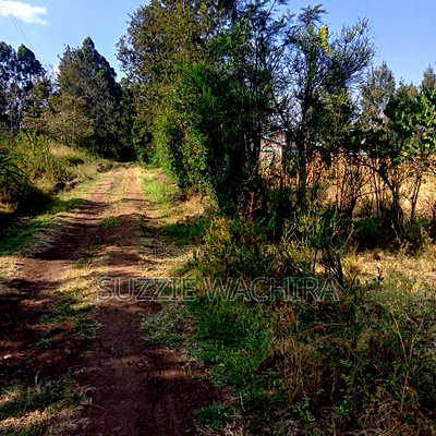 Kenol 11/4 Land for Sale - Image 5