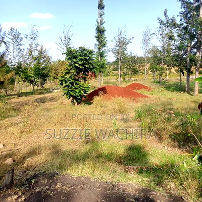 Kenol 11/4 Land for Sale - Image 1