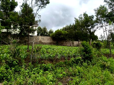 Strictly Residential Eighth Acre Plot in Kerarapon, Ngong - Image 4