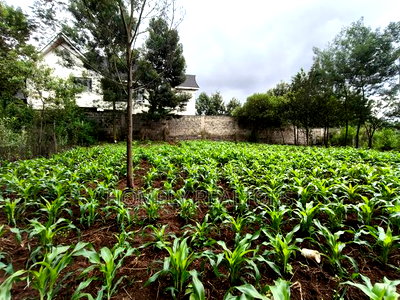 Strictly Residential Eighth Acre Plot in Kerarapon, Ngong - Image 1