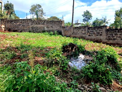 Commercial 50 by 100ft Plot for Sale in Kikuyu,Zambezi - Image 7