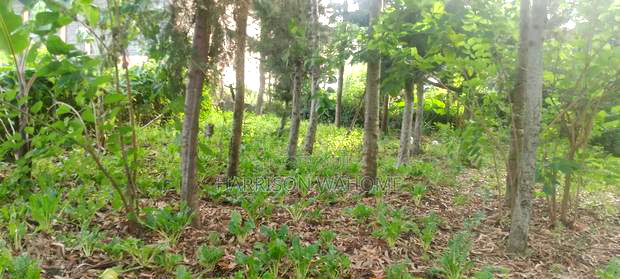 Commercial Quarter Acre for Sale in Ngong Matasia.