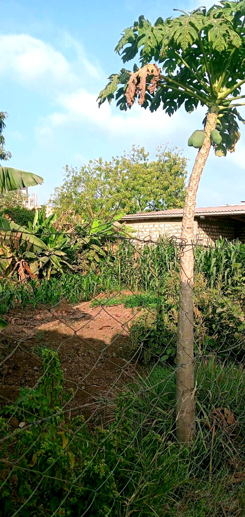 Garden Plot with Parking at KSh 20M