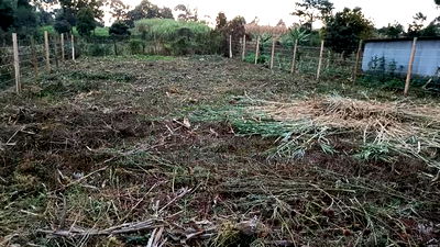 Prime Land in Kikuyu Kerwa for Only 2.2m - Image 5