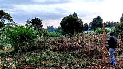 Prime Land in Kikuyu Kerwa for Only 2.2m - Image 4