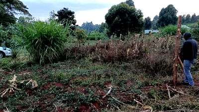 Prime Land in Kikuyu Kerwa for Only 2.2m - Image 3