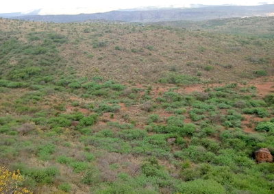 31-Acre Farm for KSh 10.5M