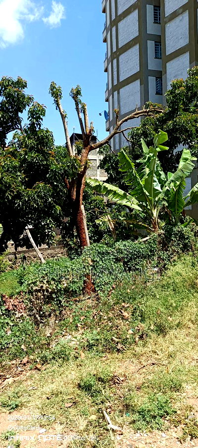 Ready Title - Image 2