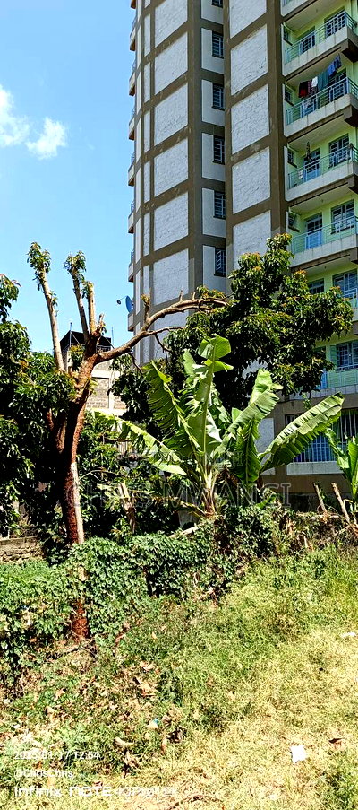 Ready Title - Image 1