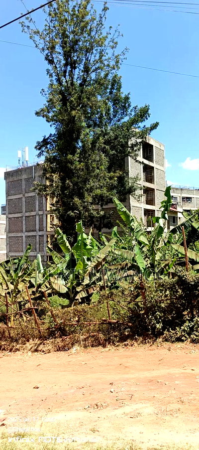 Ready Title - Image 3