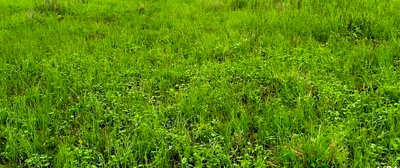 10-Acre Kimana Plot for KSh 2.8M