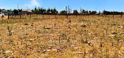 Prime 1/4 Plot for Sale in Kipkorgot Eldoret - Image 5