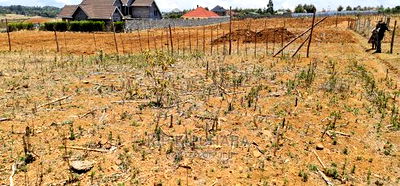 Prime 1/4 Plot for Sale in Kipkorgot Eldoret - Image 1