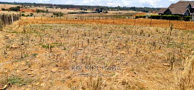 Prime 1/4 Plot for Sale in Kipkorgot Eldoret - Image 4