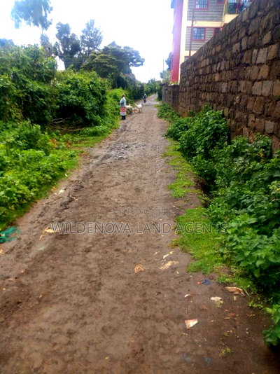 2 Acres on Sale at Kimende Kiambu - Image 5