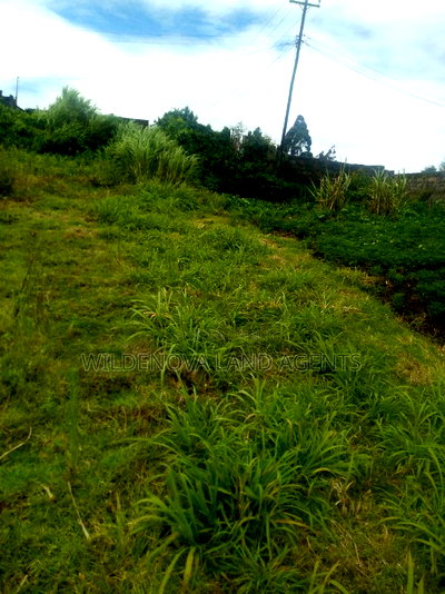 2 Acres on Sale at Kimende Kiambu - Image 6