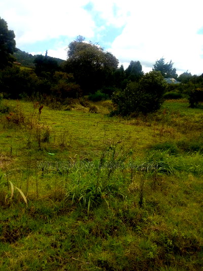 2 Acres on Sale at Kimende Kiambu - Image 9
