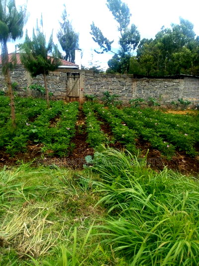 2 Acres on Sale at Kimende Kiambu - Image 3